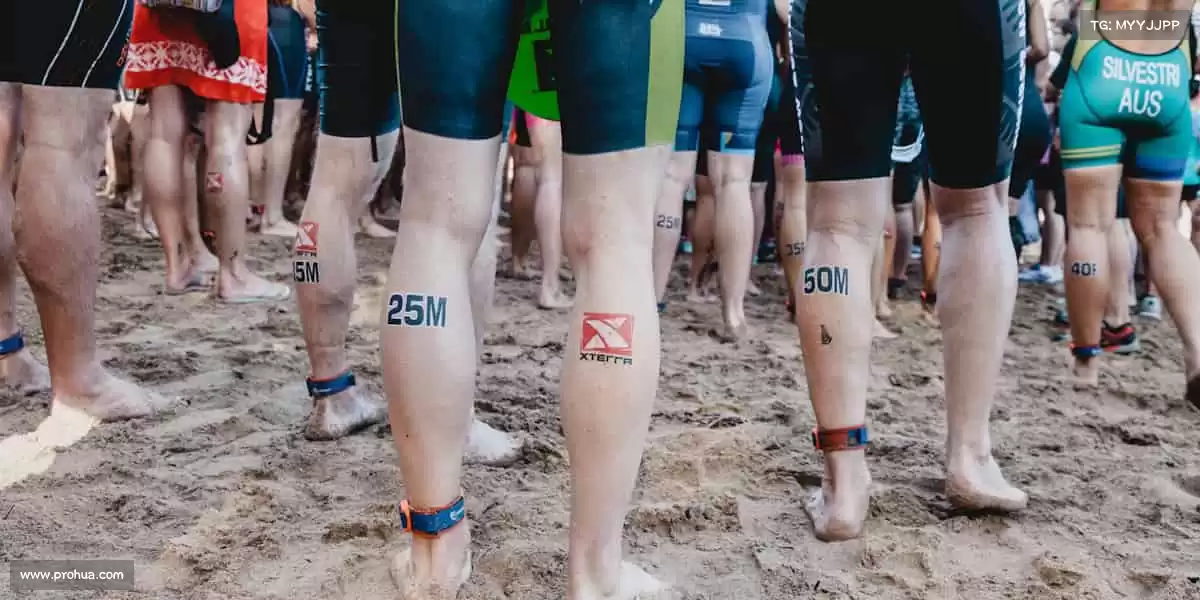 精准捕捉需求，为每类玩家定制专属乐趣！